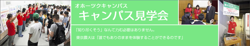 ���ۡ��ĥ��������ѥ����ز�