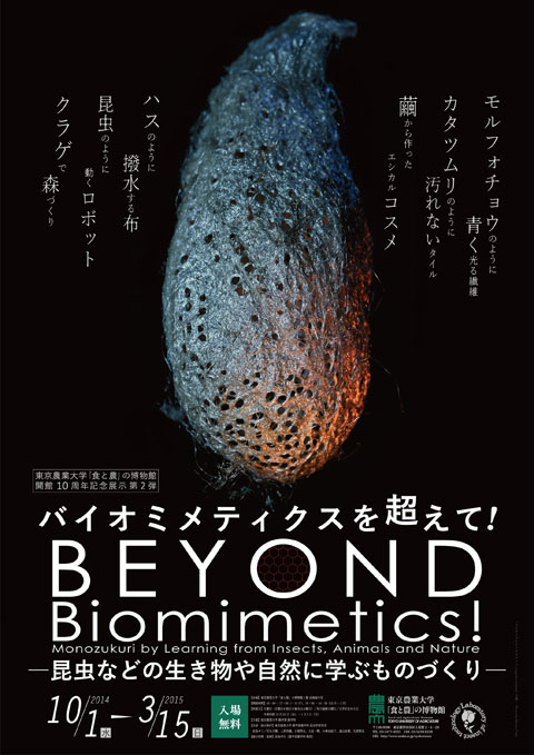 バイオミメティクスを超えて！
―昆虫などの生き物や自然に学ぶものづくり―