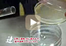 �N���b�N�Ń��[�r�[�X�^�[�g