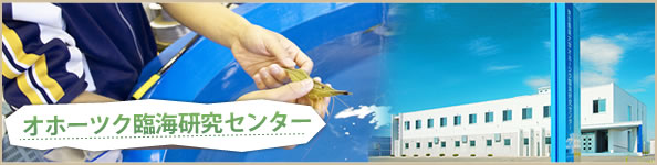 �I�z�[�c�N�ՊC�����Z���^�[