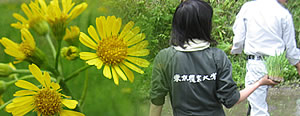第64回 鮫川村･里山景観保全活動報告