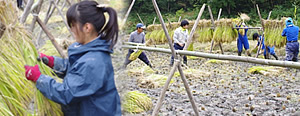 第71 回 鮫川村･里山景観保全活動報告