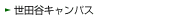 ���c�J�L�����p�X