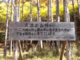 イメージ1