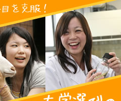 2010ǯ�١����������ء�����������û����������󥿡�����������������д�ͽ��γ��ͤ�