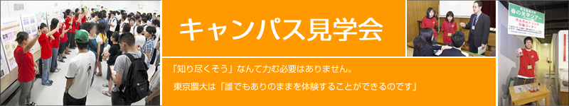 LpXw