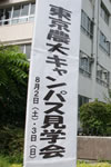 LpXwi@cJ