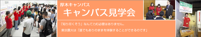 ���؃L�����p�X���w��