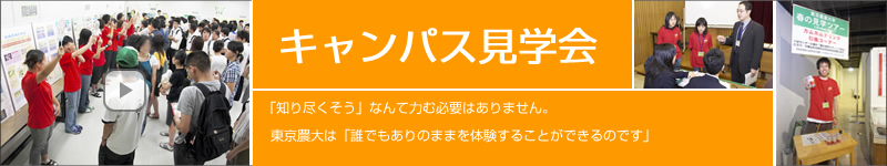 LpXw