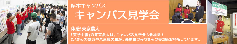 ���؃L�����p�X���w��