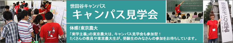 ���c�J�@�L�����p�X���w��