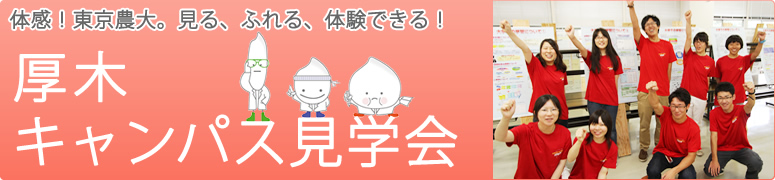 ؃LpXw