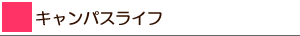 LpXCt