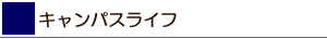 LpXCt