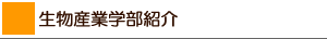 YƊwЉ