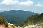 checktheweb_0175_img_09.jpg