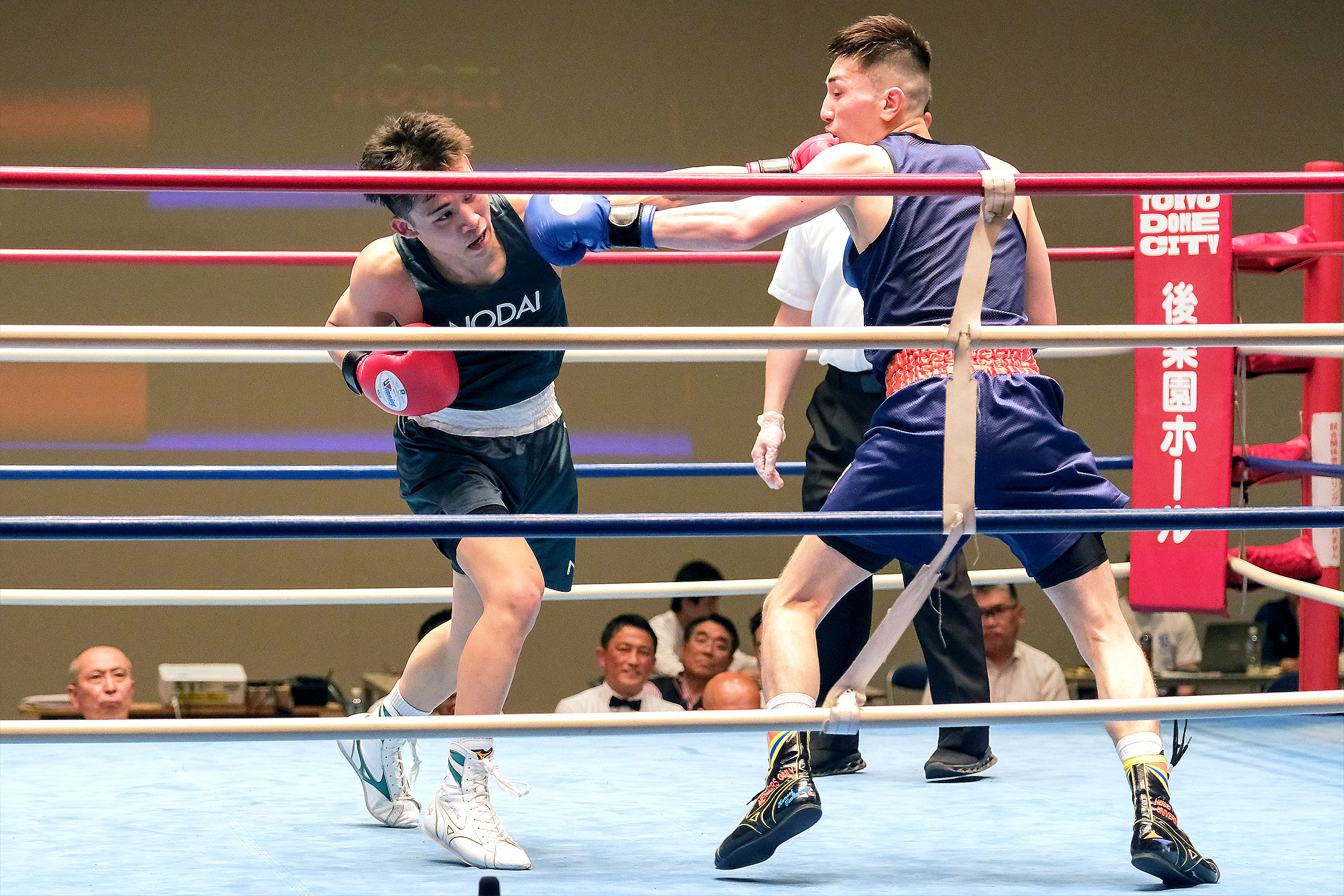 boxing_horie.jpg