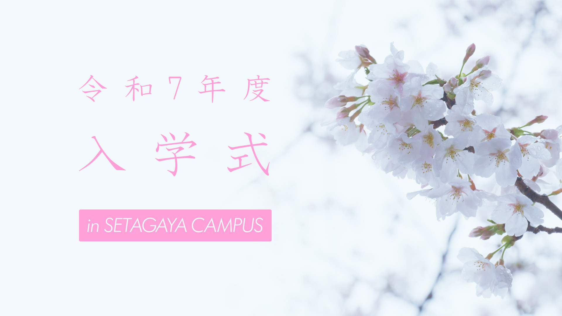 【東京農業大学】令和7年度 入学式 in 世田谷キャンパス