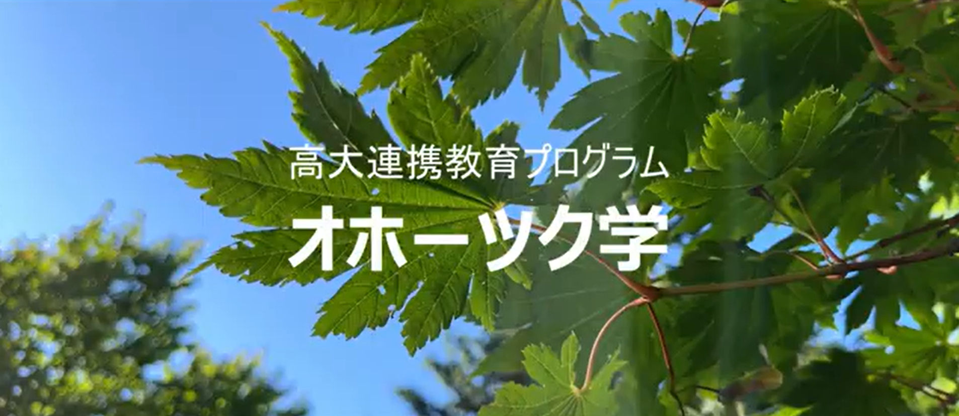 【オホーツク学2025】オホーツクで追究するリアルビューティー【生物産業学部の高大連携】④