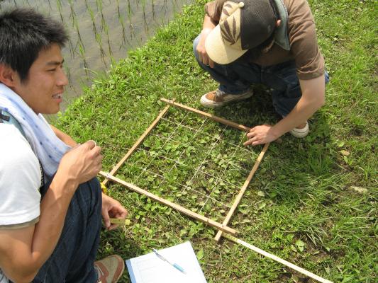 工業 技術 違い の を 作物 を と 栽培 する 製品 生産 する など 技術