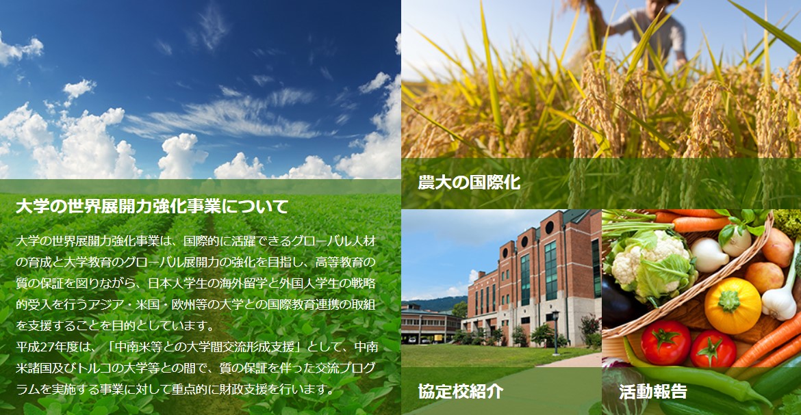 大学の世界展開力強化事業