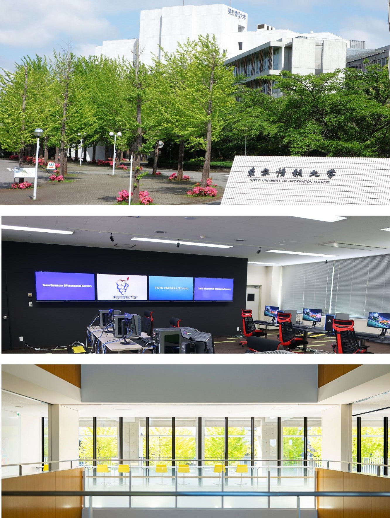 新・実学ジャーナル　2025年10月号