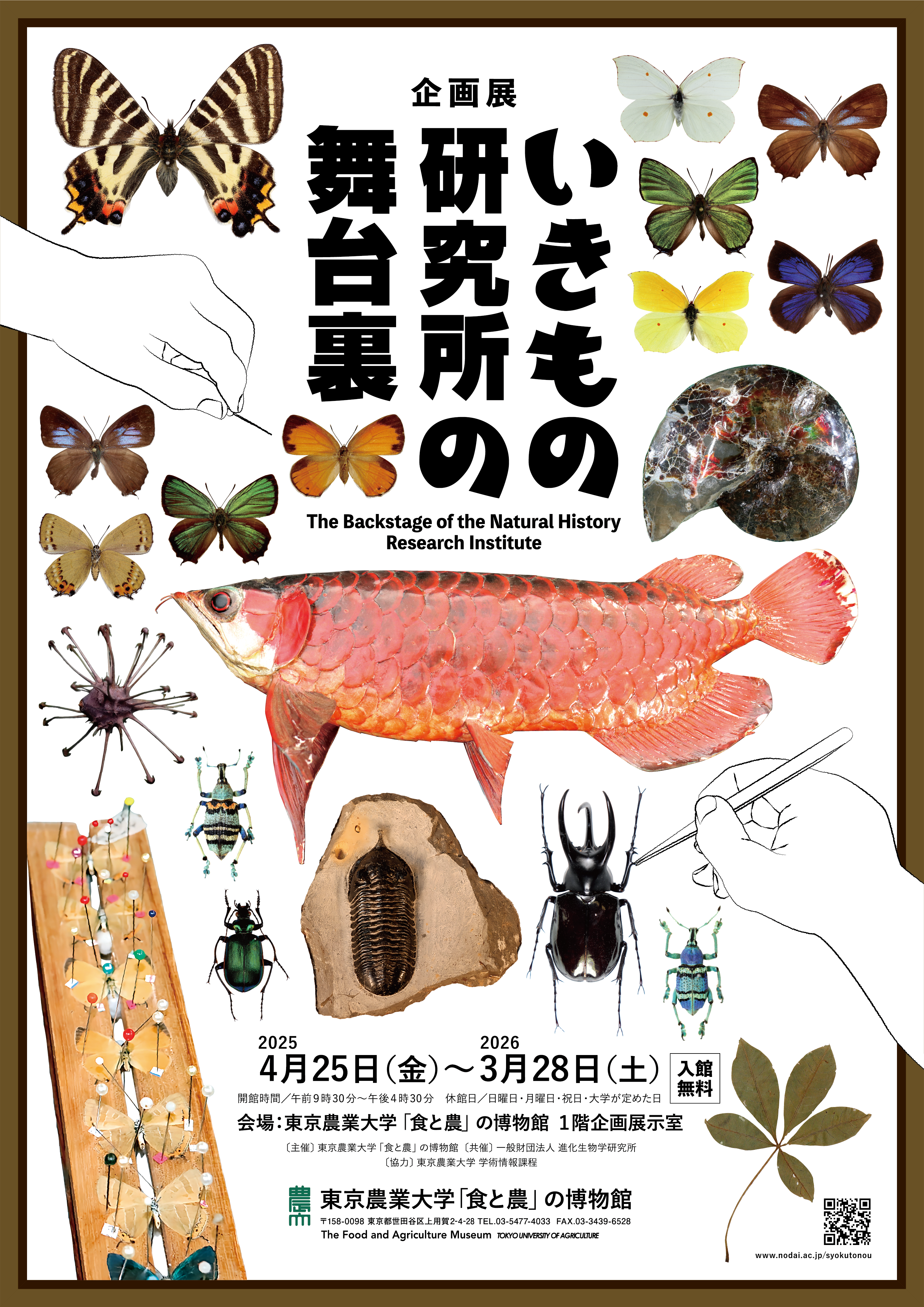 「いきもの研究所の舞台裏」