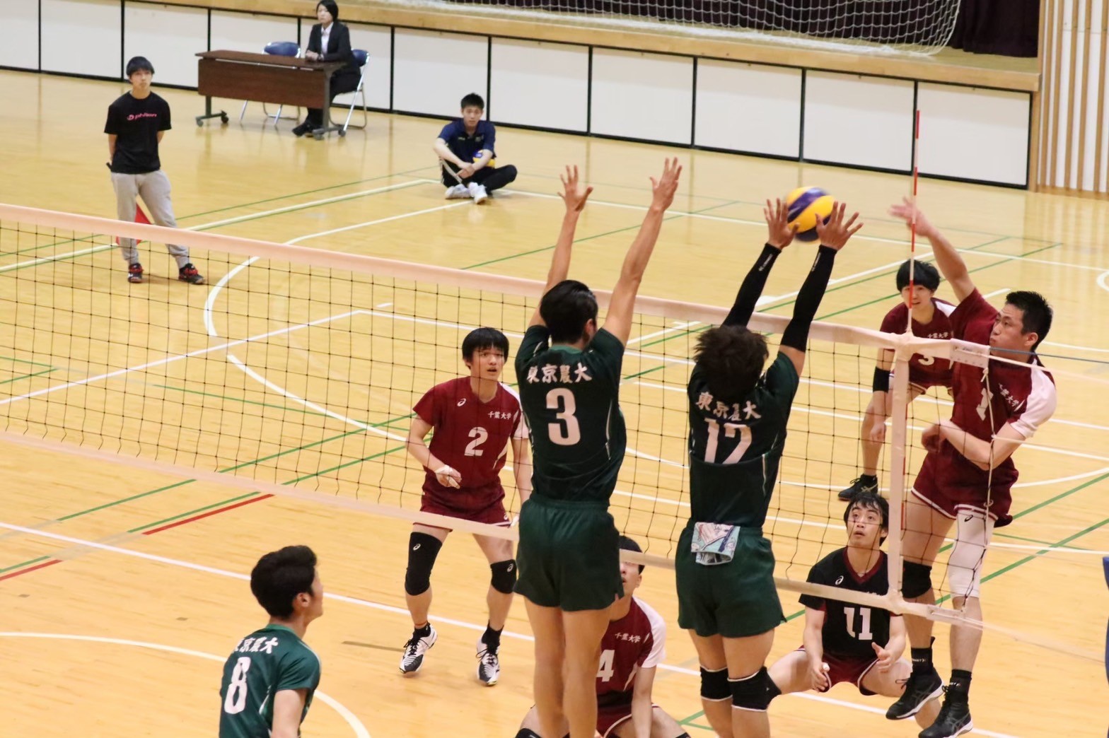 バレーボール部 東京農業大学