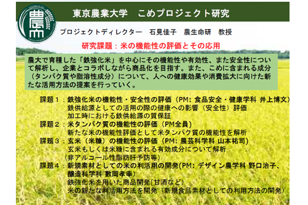 米の機能性の評価とその応用