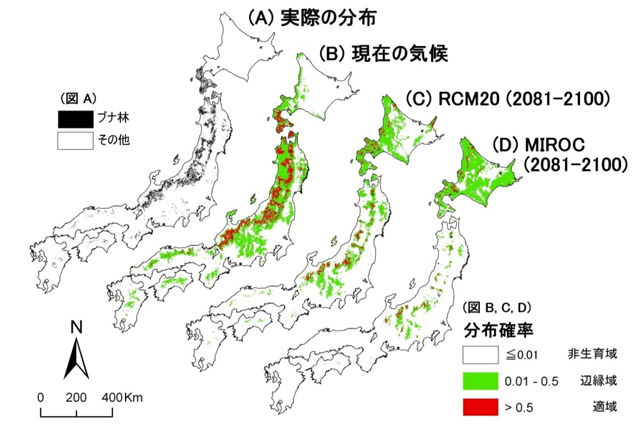 lab1304_forest02.png