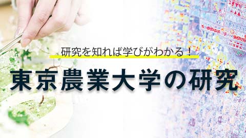 東京農業大学の研究