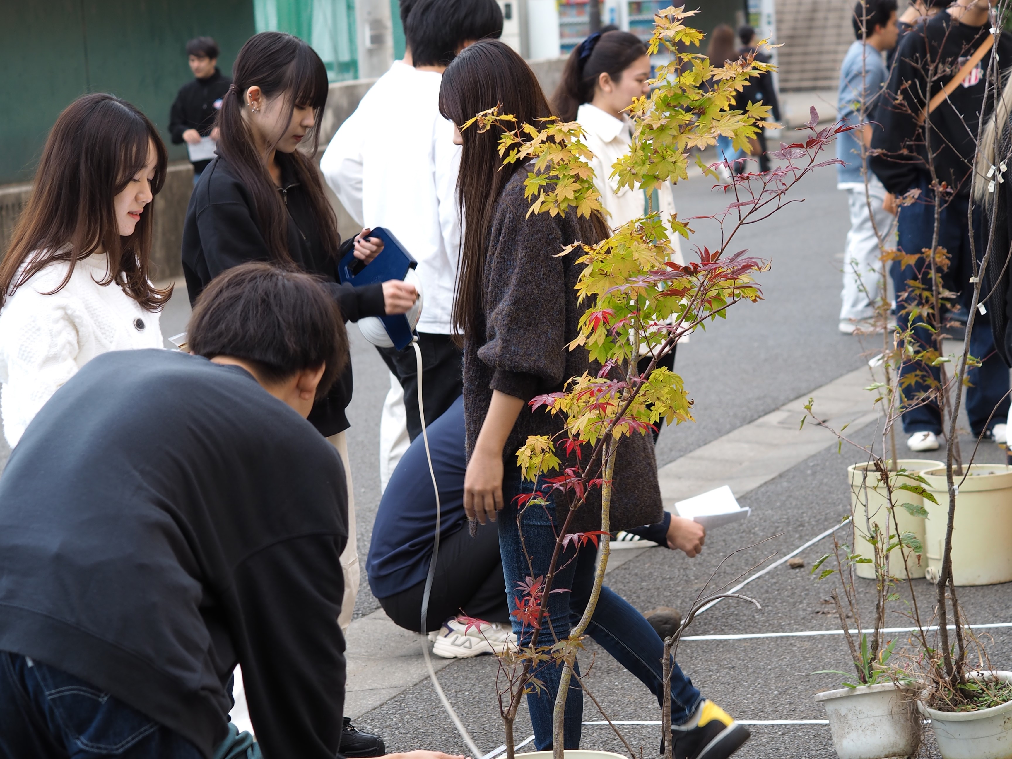 植栽演習_配植1.JPG