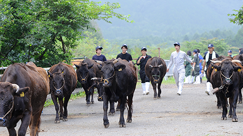 富士農場見学ツアー