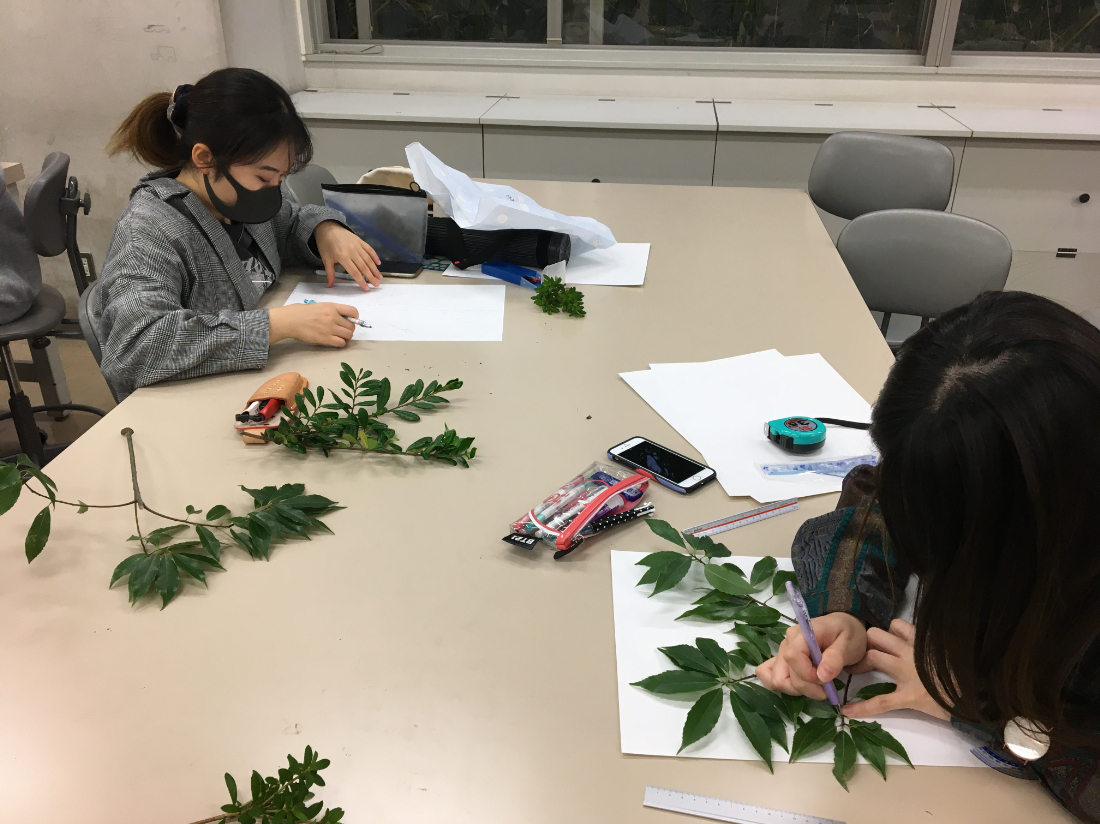 授業_植栽1.JPG