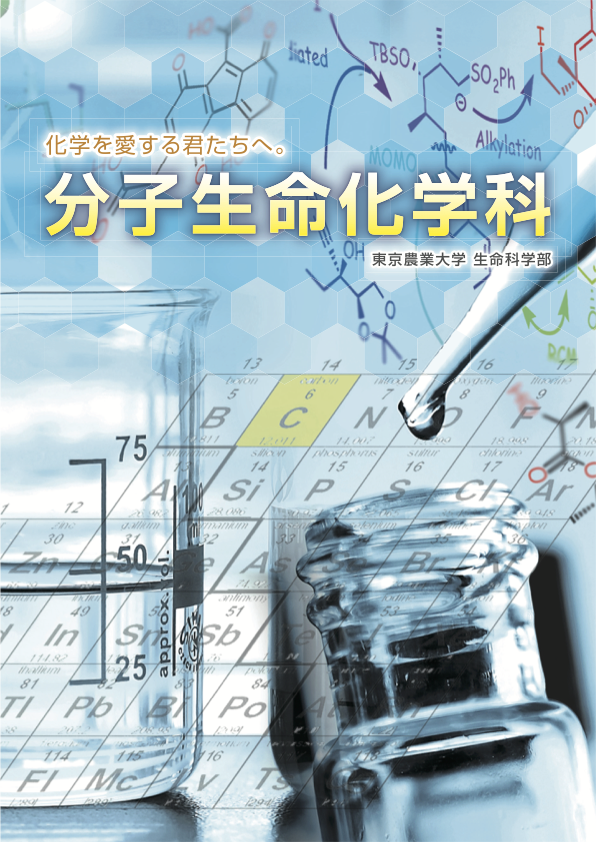 分子生命化学科パンフレット