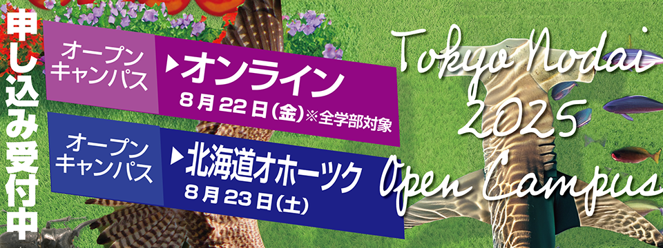 オープンキャンパス