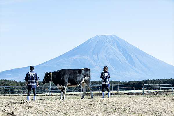 富士山