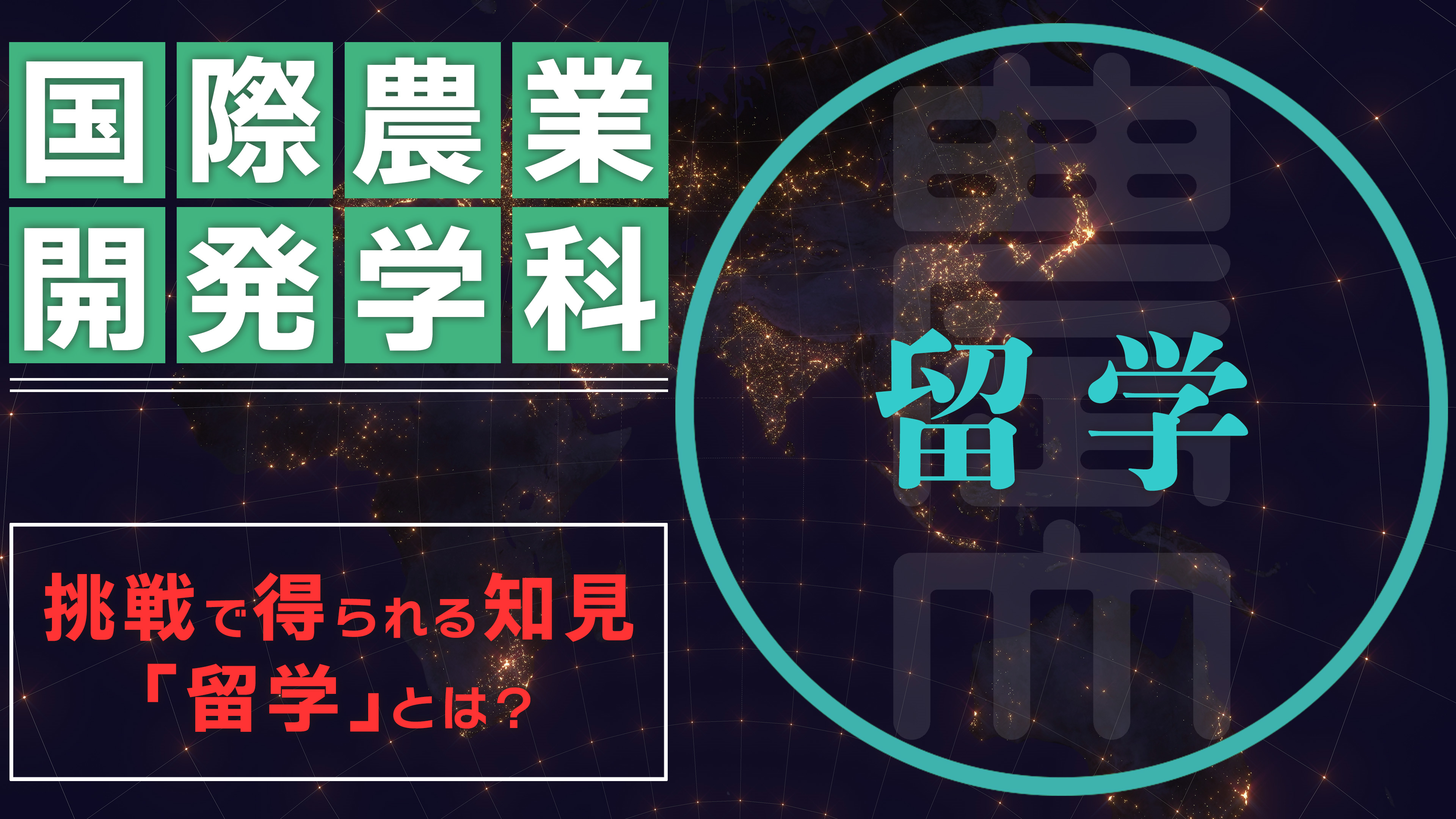 国際農業開発学科／留学