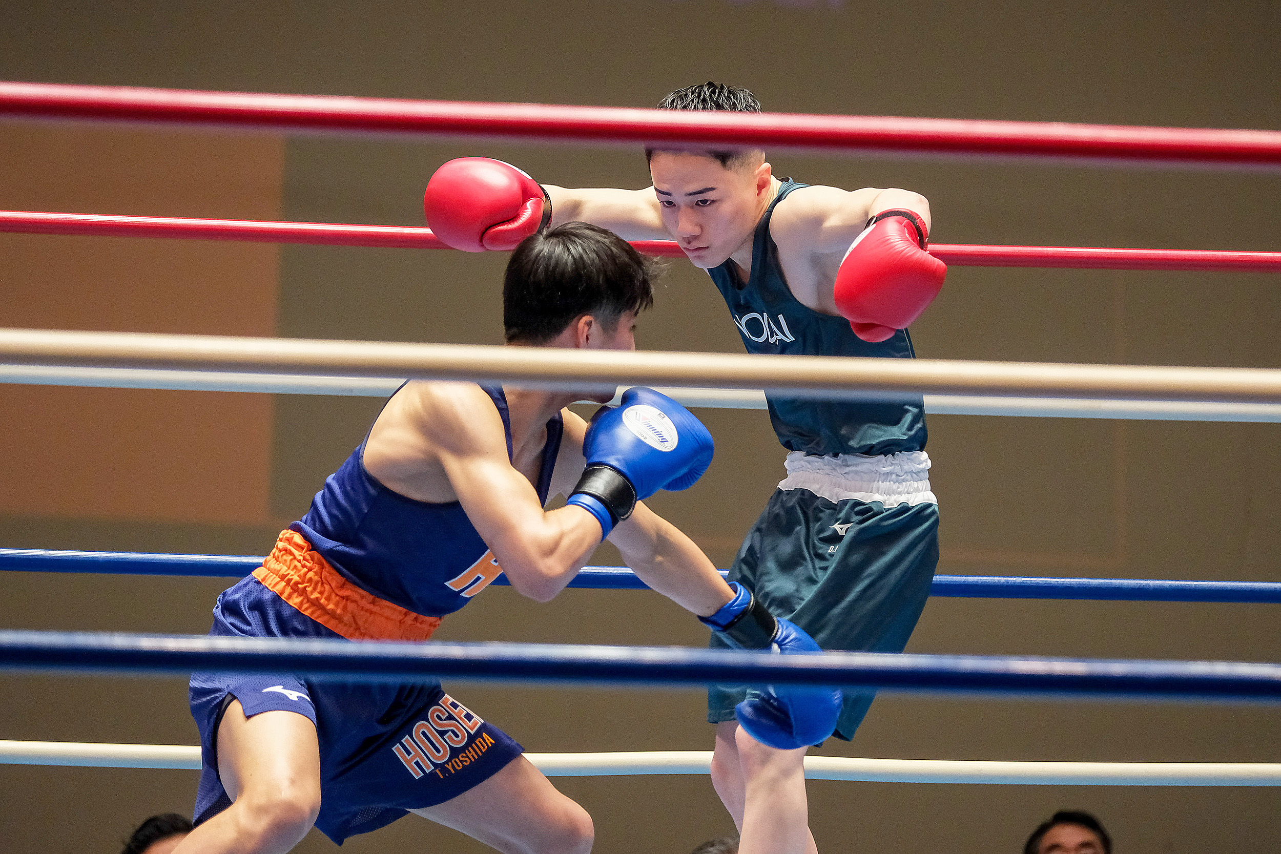 boxing_iwai.jpg
