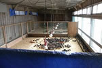 checktheweb_0172_img_08.jpg