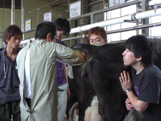 動物生理学研究室 | 東京農業大学