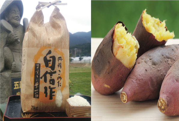 南大隅町.png