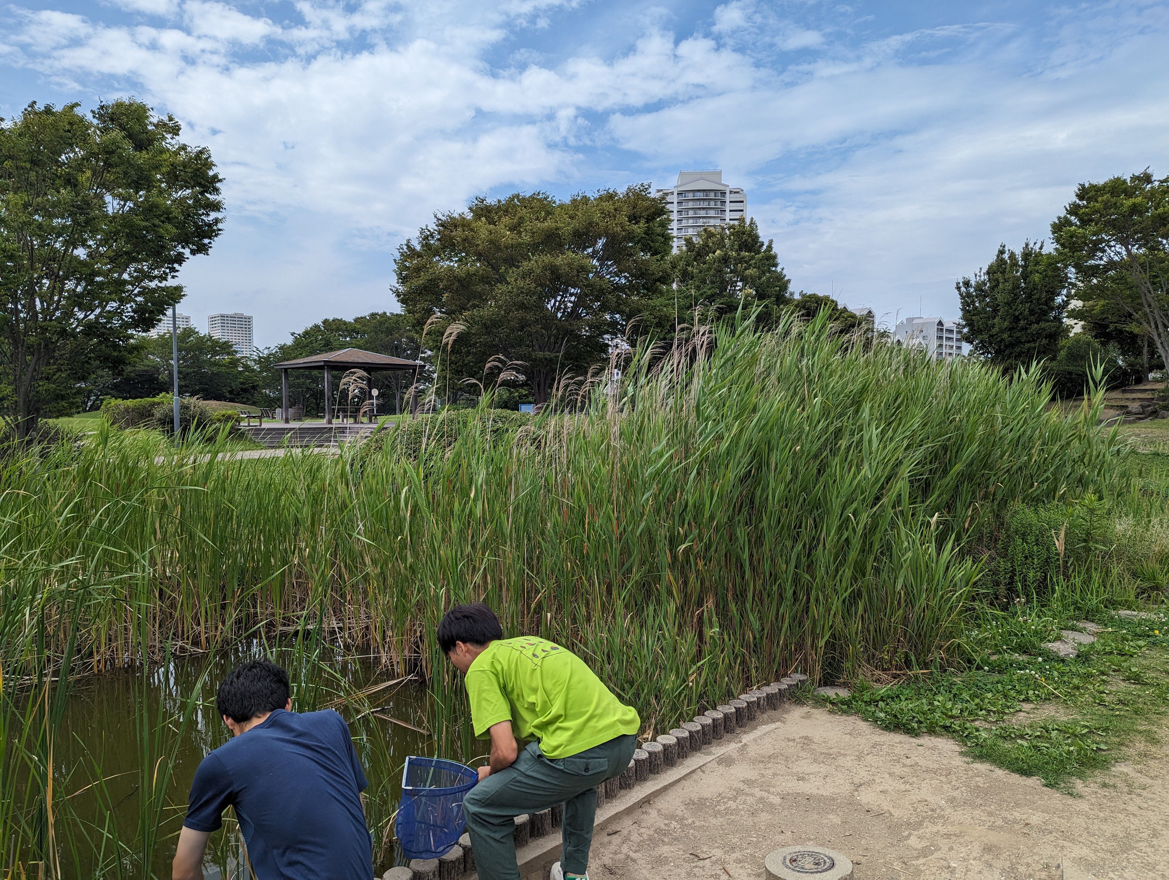 樹芸研R50707②.jpg