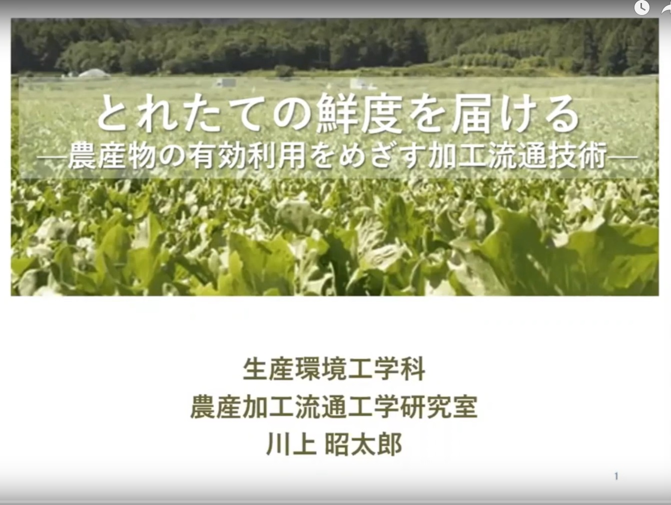 川上昭太郎　准教授
【とれたての鮮度を届ける—農産物の有効利用をめざす加工流通技術—】