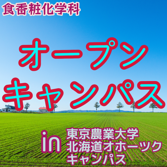 北海道オホーツクキャンパス オープンキャンパス開催
