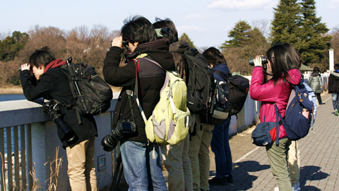 野生動物学研究室 東京農業大学