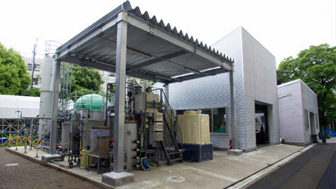 Biomass Energy Center