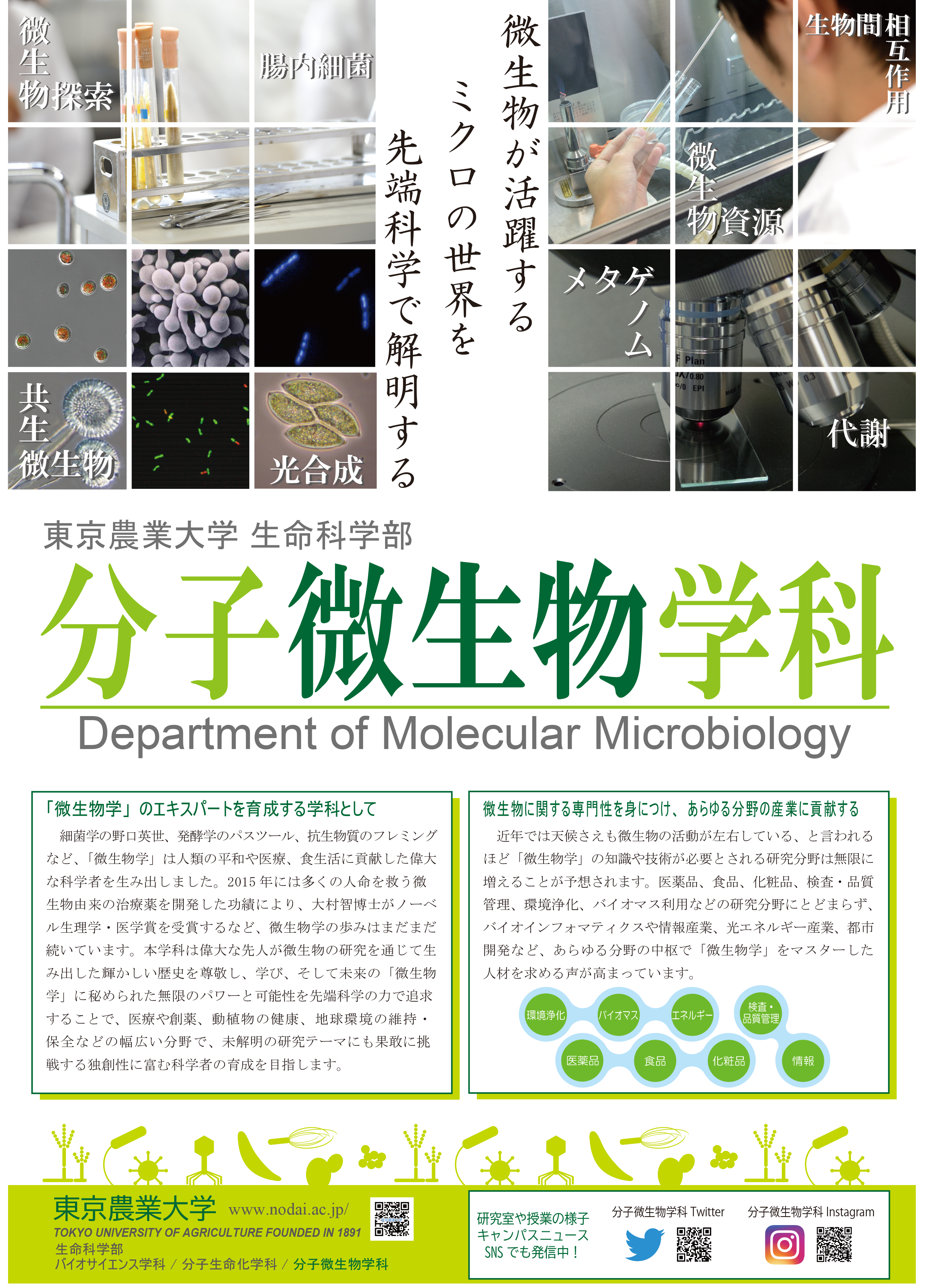 学科概要パンフレット