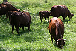 checktheweb_0176_img_05.jpg
