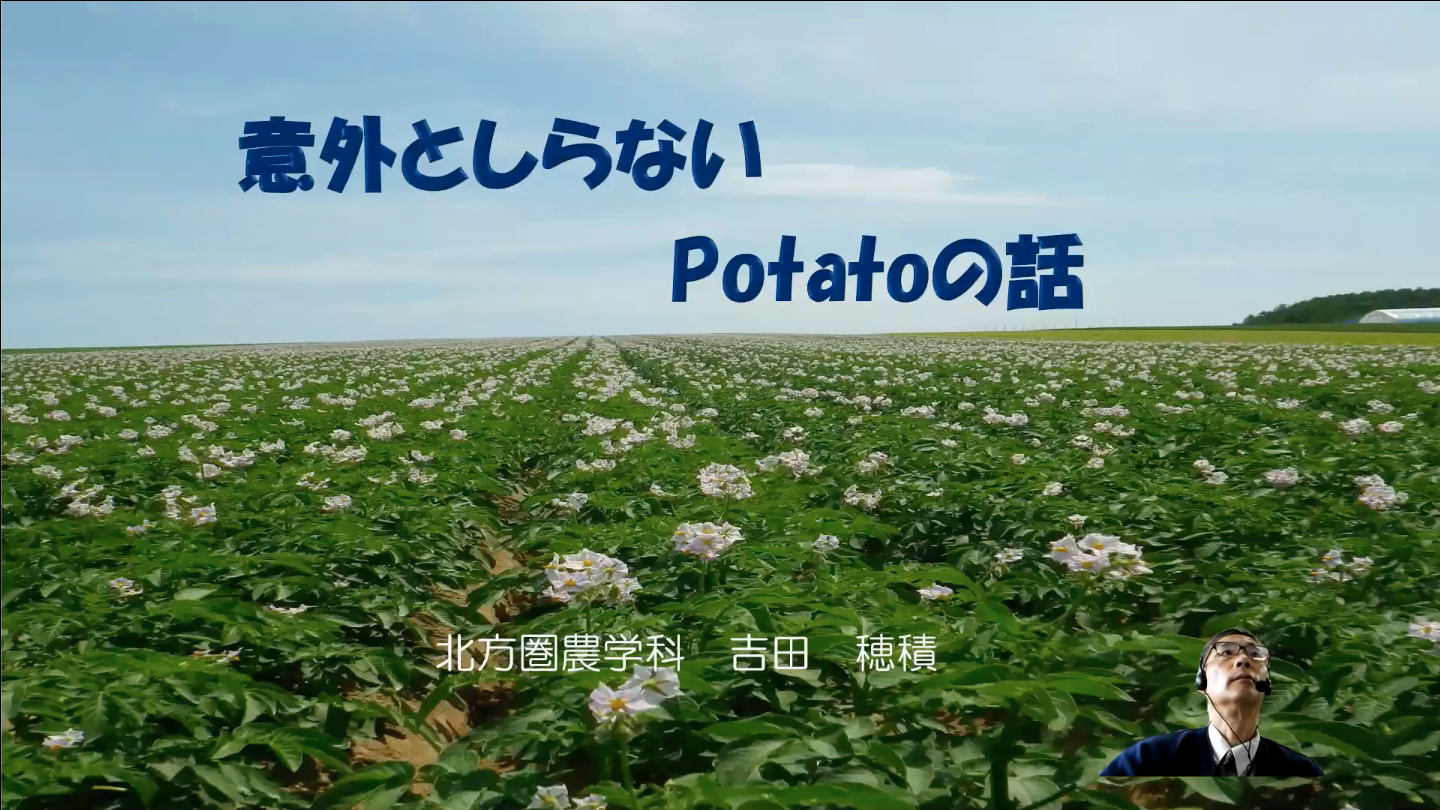 意外と知らないpotatoの話【吉田穂積】